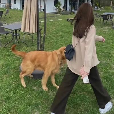 后妈难当