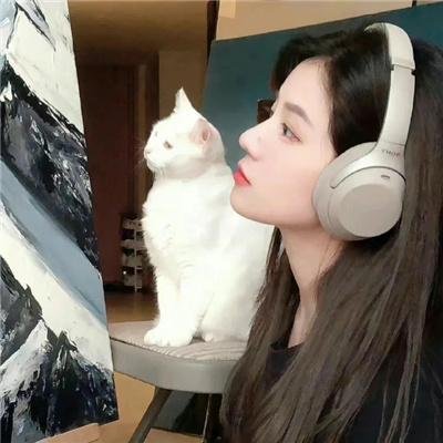 黄色夜莺